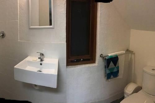 a bathroom with a sink and a toilet at Adelaide close CBD Large Private Studio Apartment in St Peters in Norwood