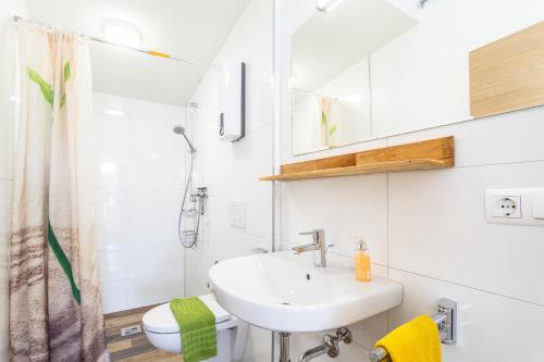 Ένα μπάνιο στο Alpen-Hostel - Apartment Morgen- und Abendsonne mit Motorradvermietung