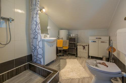 a bathroom with a toilet and a sink at Apartment LINDA in Grižane