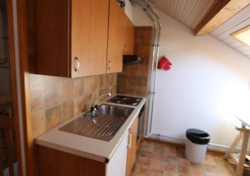Il comprend une petite cuisine équipée d'un évier et d'une cuisinière. dans l'établissement Maison de Montagne Bretaye, à Villars-sur-Ollon