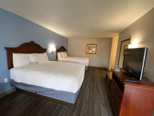 Hotel South Tampa & Suites Image