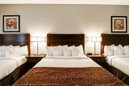 Postel nebo postele na pokoji v ubytování Canalta Hotel Tisdale