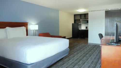 a hotel room with a large bed and a desk at Hotel South Tampa & Suites in Tampa