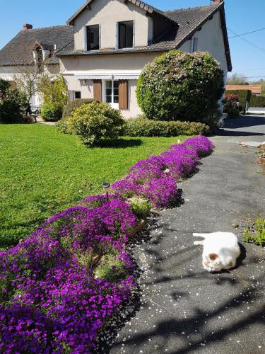 a cat sleeping on a driveway next to purple flowers at Gite Anne-Marie Davaillon in Châtillon-sur-Indre