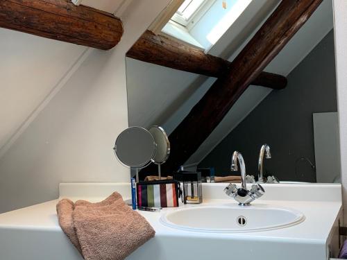 uma casa de banho com um lavatório e um espelho em Jelly's Hoeve (Adults Only) em Havelte