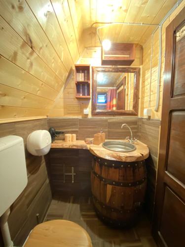 a bathroom with a sink and a toilet in a log cabin at Vikendica Pustolov - Uvac, Zlatar in Nova Varoš