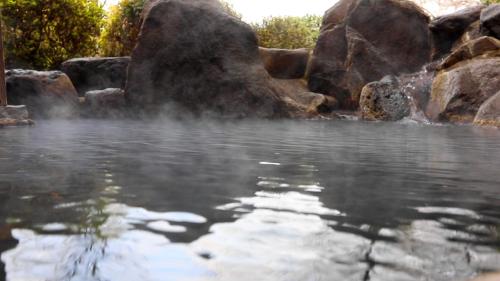 Φυσικό τοπίο κοντά σε αυτό το ryokan