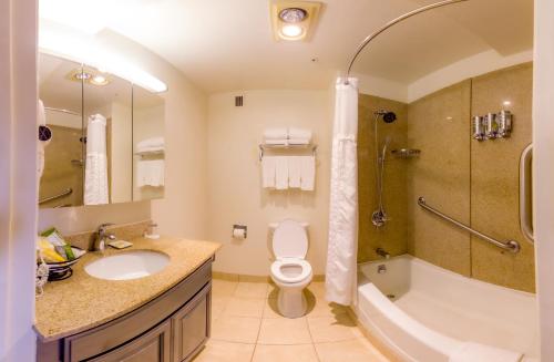 A bathroom at Buena Vista Motor Inn
