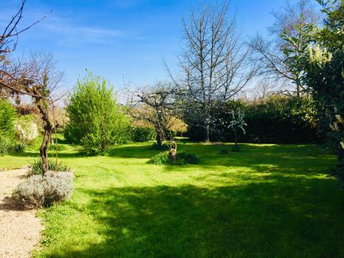 a green yard with trees and a grassy field at Maison des Vignes in Le Fleix