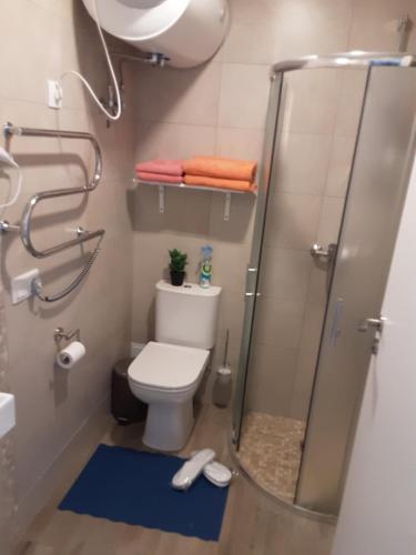 ein Bad mit einem WC und einer Dusche in der Unterkunft Studija GRaDO2 in Juodkrantė