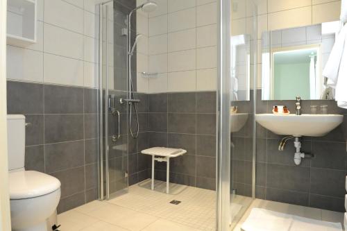 y baño con ducha, aseo y lavamanos. en Relais Des Tilleuls, en Hasparren