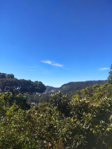 a view of a hill with trees and a blue sky at B&B Nuwara eliya in Nuwara Eliya