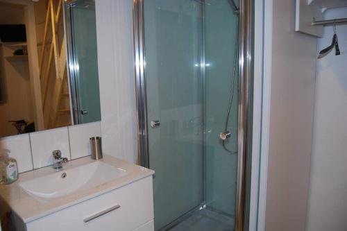 La salle de bains est pourvue d'une douche en verre et d'un lavabo. dans l'établissement L'Atelier à 100 m de Tarbes sud, à Laloubère