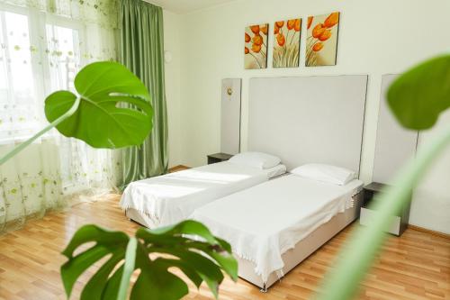 エカテリンブルクにあるGuest apartments Alesiaのベッドルーム1室(ベッド1台、植物付)