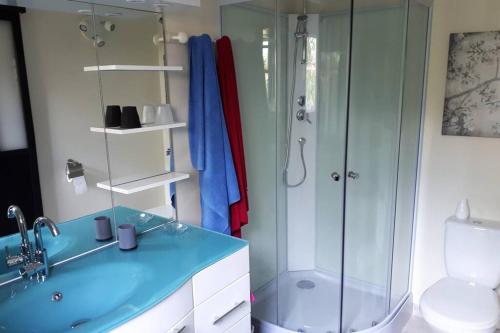 a bathroom with a blue sink and a shower at Maisonnette à 100 M de Tarbes sud in Laloubère