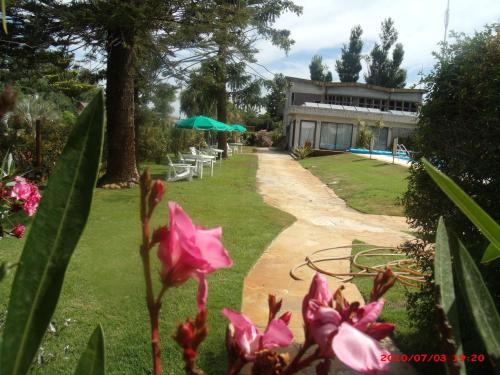 a garden with chairs and umbrellas and a building at Hotel Puesta del Sol in Punta del Este