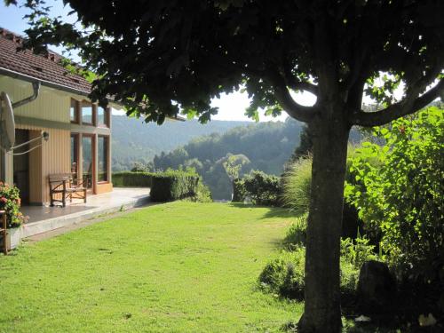 ein Haus mit grünem Rasen und einem Baum in der Unterkunft Bergfeldhof in Haingrund