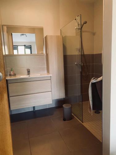 a bathroom with a sink and a shower with a mirror at La Grange de l’Ouche in Saint-Parize-le-Châtel