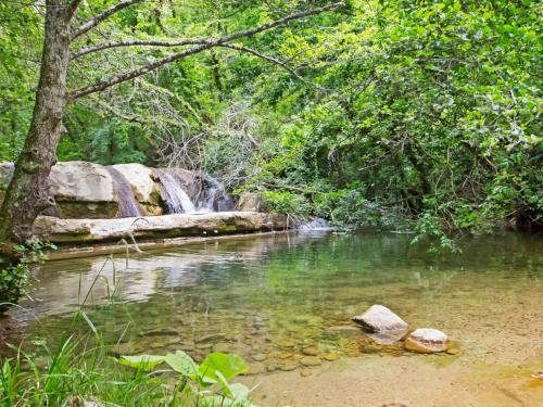 un río con rocas y una cascada en un bosque en Holiday Home La Valchiera by Interhome, en Germagnano