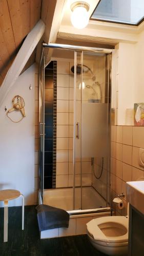 a bathroom with a shower with a toilet and a sink at Blue Wall BnB in Gebenstorf