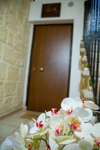 Fotografie z fotogalerie ubytování Cittadella28 Like at Home v destinaci Trani