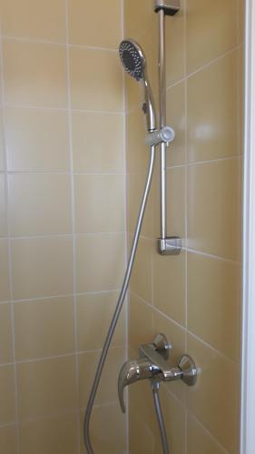 a shower with a shower head in a bathroom at L'Oasis in Évian-les-Bains