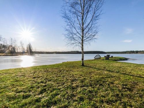 uma árvore na grama ao lado de um corpo de água em Holiday Home Viljami by Interhome em Kaustinen