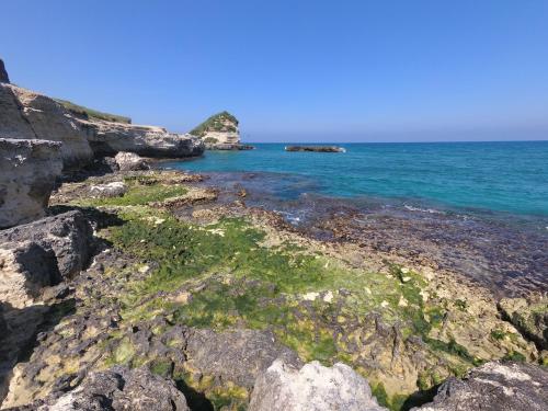 Gallery image of Hotel Alba Chiara Sant'Andrea Salento in SantʼAndrea