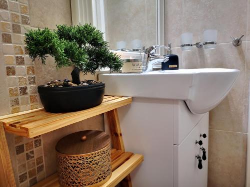 a bathroom with a sink and a plant on a shelf at Tedy's Townhouse-Margarita Gardens in Paphos City