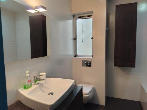 a bathroom with a sink and a toilet and a mirror at University Area Msida in Msida