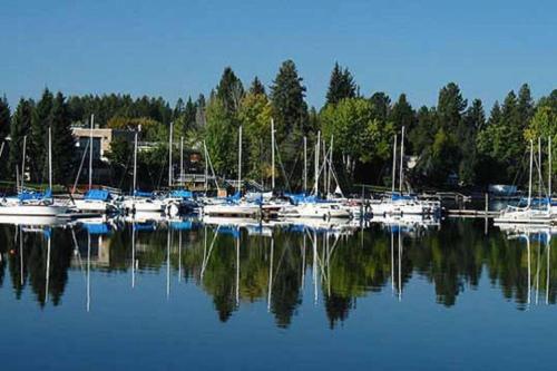 a bunch of boats are docked in a harbor at TimberCrest Downtown Lakeview Condo North by Casago - Donerightmanagement in McCall