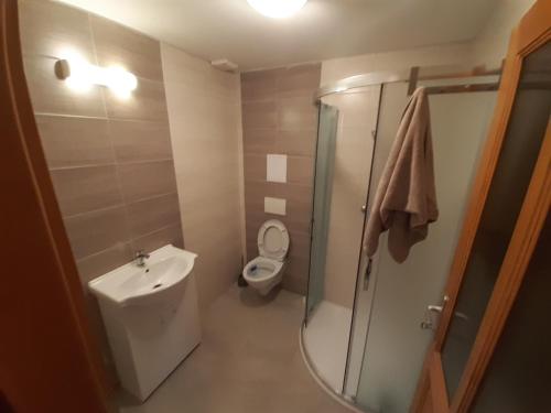 Koupelna v ubytování Ubytování Nad rybníkem Nová Říše - apartmán Západ