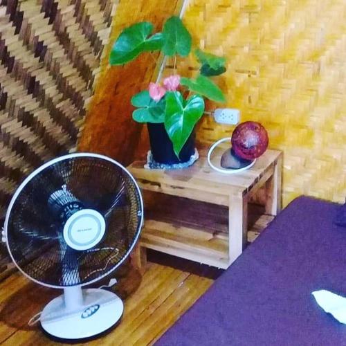 a fan sitting on a table next to a plant at SHUKRAN Apartelle in Siquijor