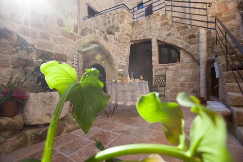 a green plant in front of a stone building at Porolithos Boutique Hotel in Rhodes Town