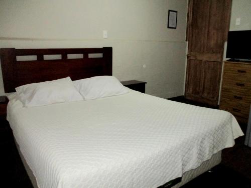 Cama o camas de una habitación en Hotel Centro Sur - Colonial