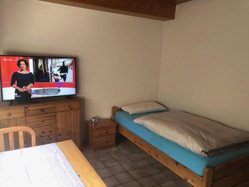 Schlafzimmer mit einem Bett und einem Flachbild-TV in der Unterkunft 1 Zimmer Apartment 22 qm Neustadt-Duttweiler in Neustadt an der Weinstraße