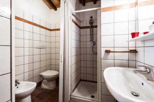 Un baño con ducha, inodoro y lavabo. en La Casina- Podere della Collina, en Collelungo