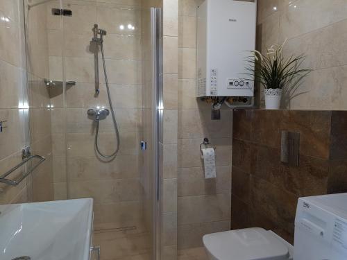 Un baño con ducha, inodoro y lavabo. en Fala Baltyku Apartament, en Ustronie Morskie