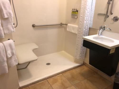 Candlewood Suites Fort Wayne - NW, an IHG Hotel tesisinde bir banyo