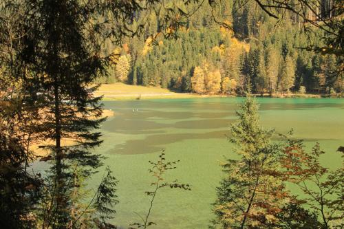 a view of a lake in the middle of a forest at Frühstückspension Bachseitenhof in Radstadt