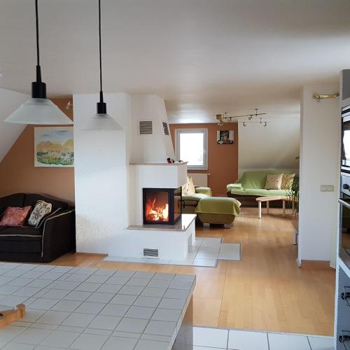 a living room with a fireplace and a couch at Ferienwohnung Goldene Höhe in Rechenberg-Bienenmühle