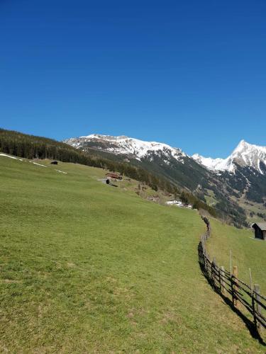 a fence in a field with a snow covered mountain at Ferienwohnung Wallner in Zell am Ziller