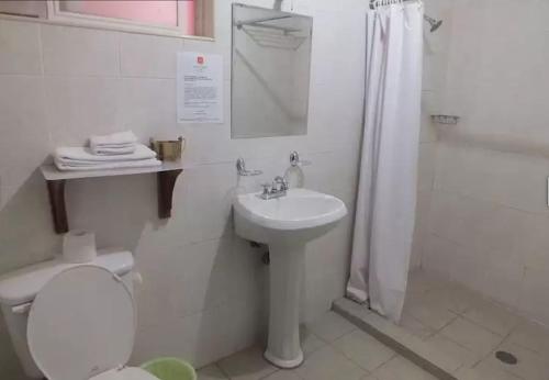 a bathroom with a toilet and a sink and a shower at Hotel Rincon Real Suites in Durango