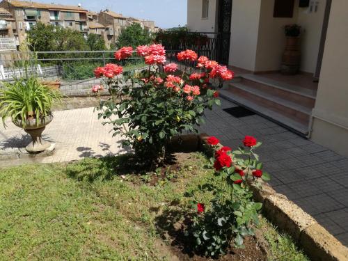 a bunch of red flowers in a garden at La Ripa Bed and Breakfast in Blera