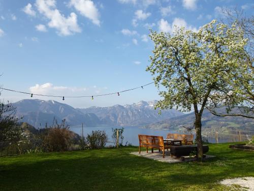 Afbeelding uit fotogalerij van Biohof Schwanser in Steinbach am Attersee