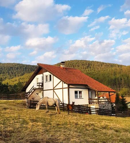 a horse grazing in a field in front of a house at Vila Jela Tornik in Zlatibor