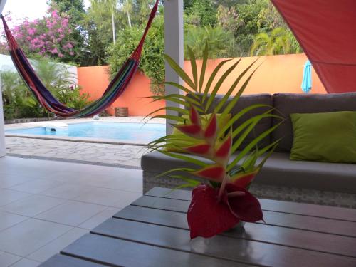 a plant in a vase on a table next to a pool at Sarithea in Basse-Terre