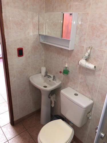 een badkamer met een toilet en een wastafel bij A un paso de todo !!! Lo de Richard in Ushuaia