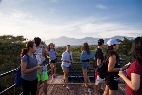 a group of people standing on a viewing deck at Menjangan Ecolodge - CHSE Certified in Banyuwedang