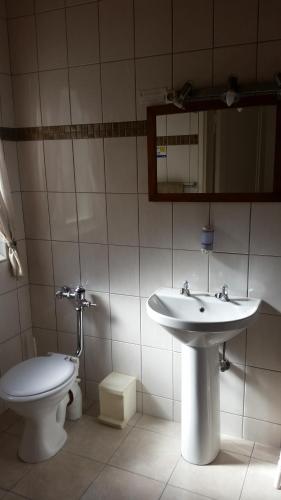 a bathroom with a sink and a toilet at Pension d'Avignon in Swakopmund